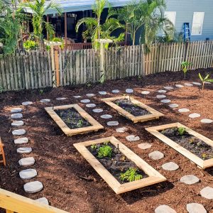 Kitchen Garden - Image 2