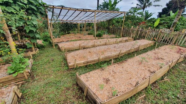 Kitchen Garden